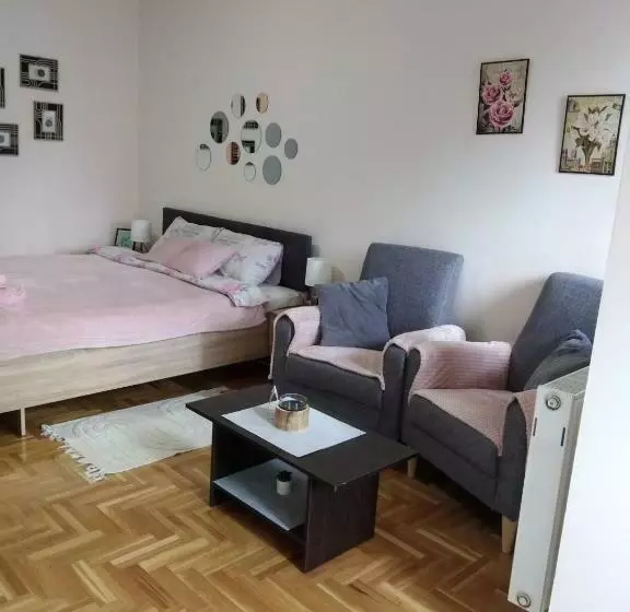 Apartman Studio Tea Su
