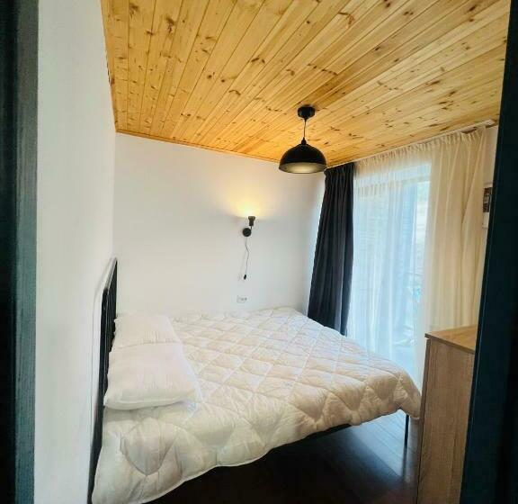 Panorama By Mgzavrebi