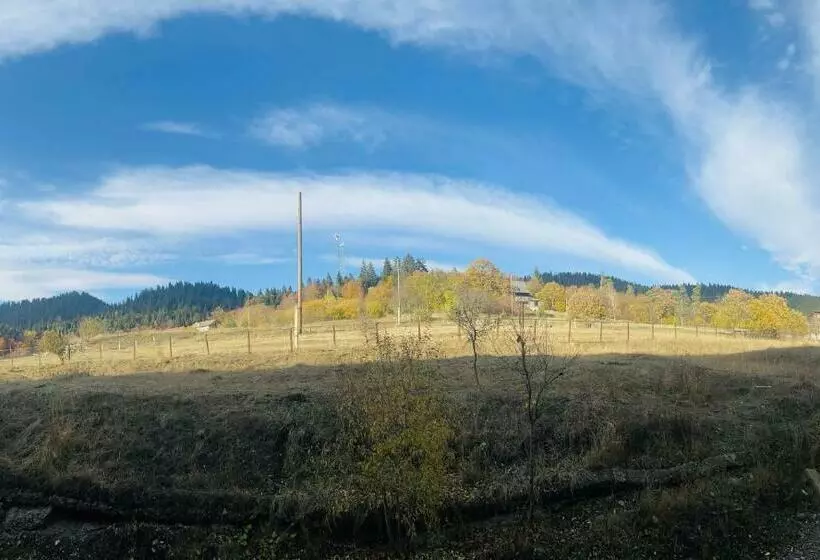 Panorama By Mgzavrebi