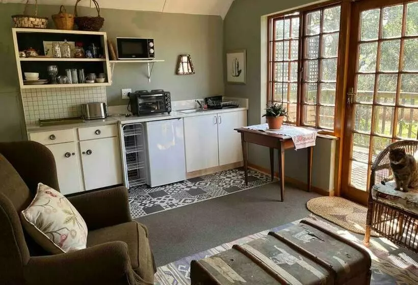Silver Birch Studio