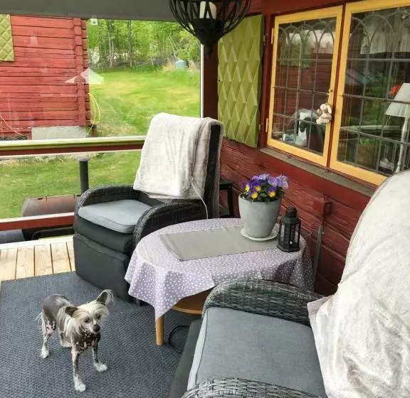 Mysigt Boende I Rättvik Med Utsikt över Siljan