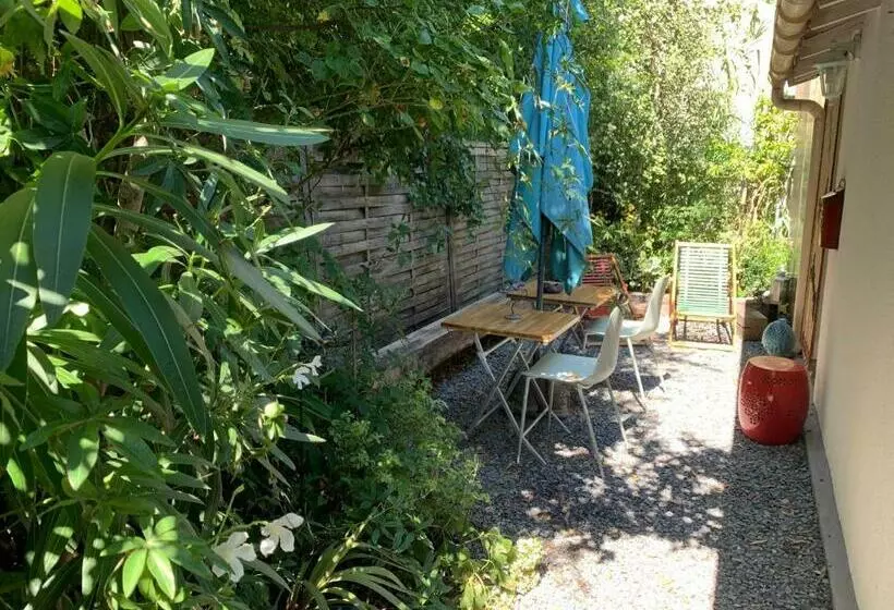 Maison Dans Sa Jungle, Aux Milliers D’espèces…