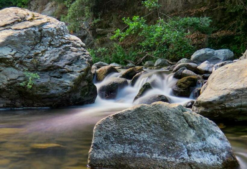Petit Appartement à Proximité De St Florent