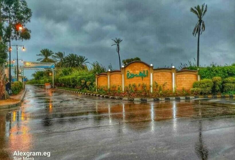 شاطئ المعموره الاسكندريه 01272849001