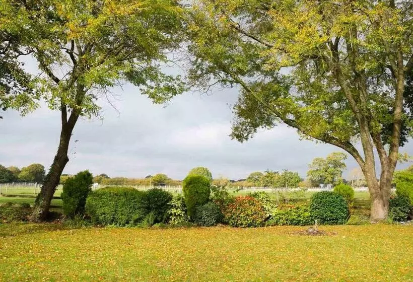 Forest Edge