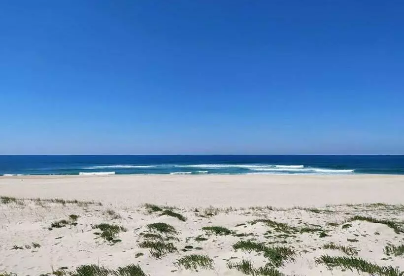 Apartamento Em Torreira   Nenúfares