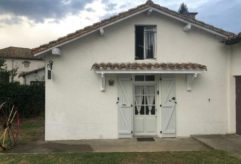 Gîte Des Lavandes