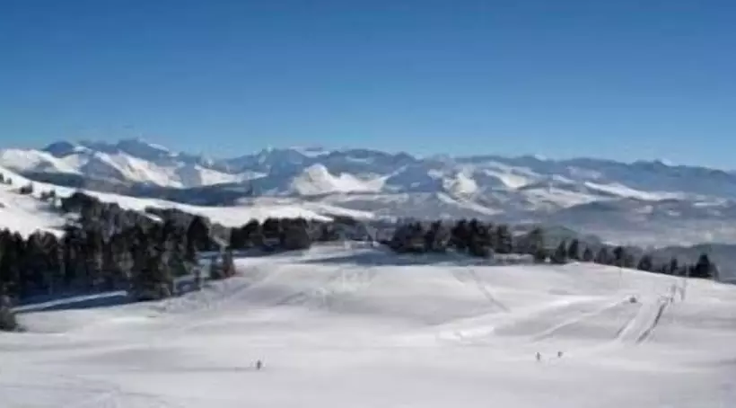 Отель Les Roches 1500