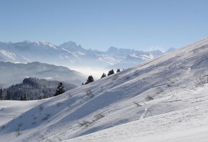 Отель Les Roches 1500