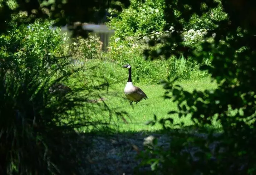 酒店 Château De La Motte Beaumanoir