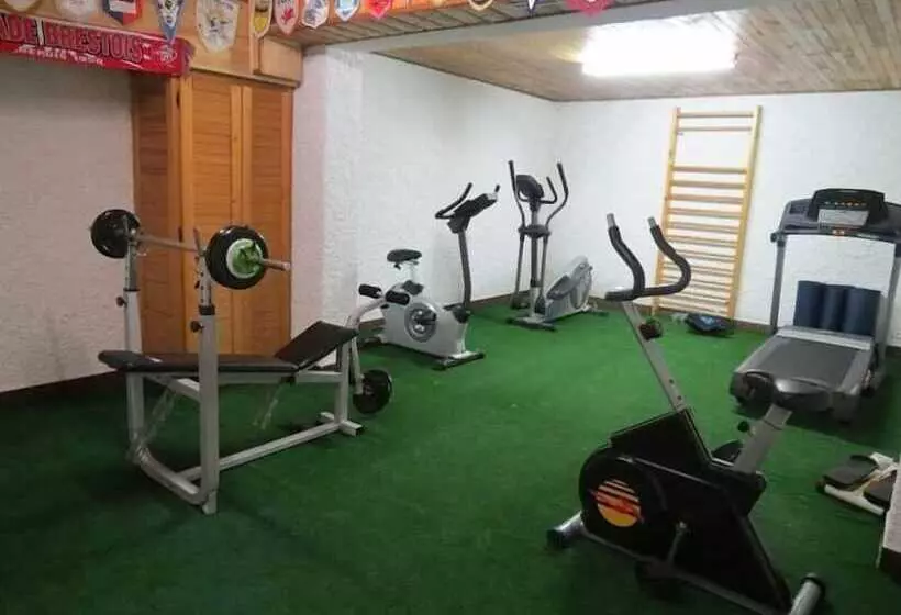 هتل Hôtel Les Glaciers