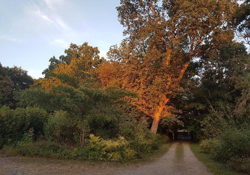 בית מלון כפרי Logis Relais Des Cailleres