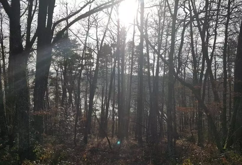 هتل The Originals Access, Hôtel Saintflour