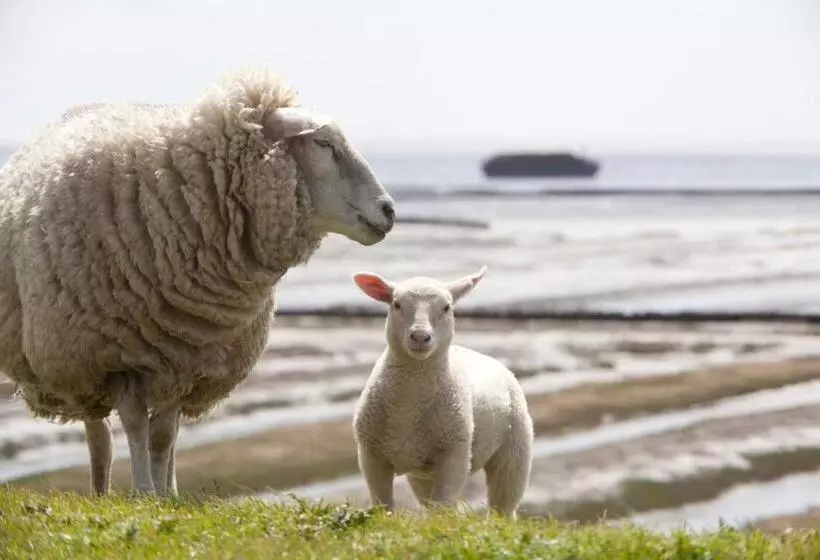Landhaus Sterdebüll