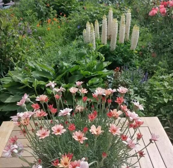 Landhotel Garni Zur Linde