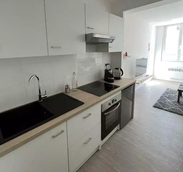 Appartement Situé En Plein Coeur Du Centre Ville