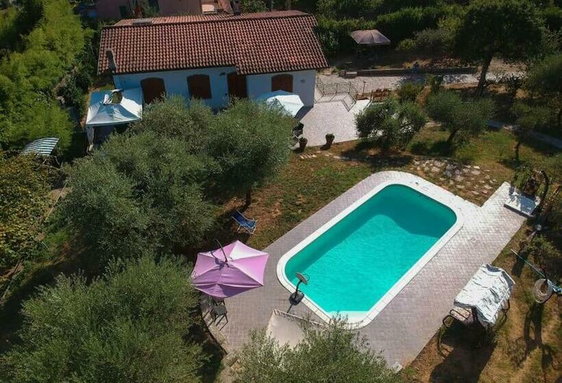 Futuro Parco Nel Centro