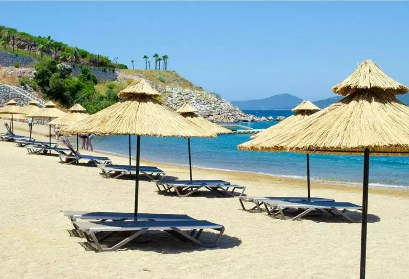 Villa Esteban özel Plajlı