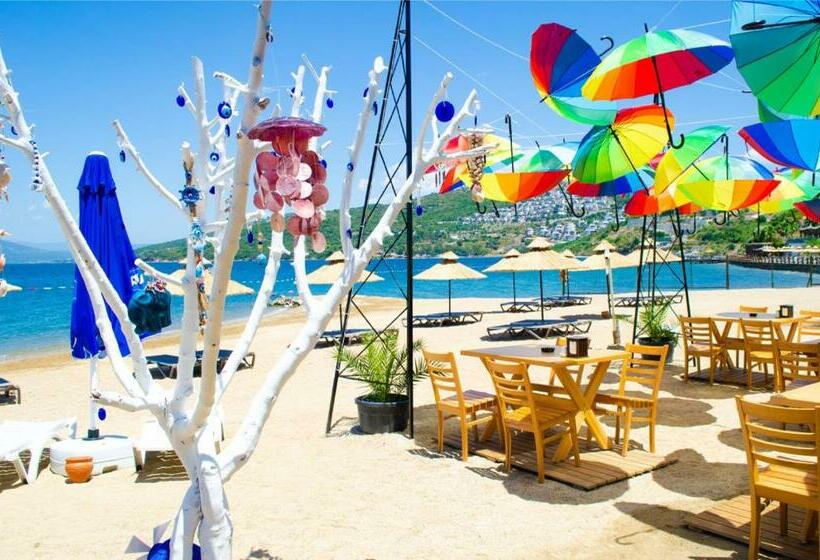 Villa Esteban özel Plajlı