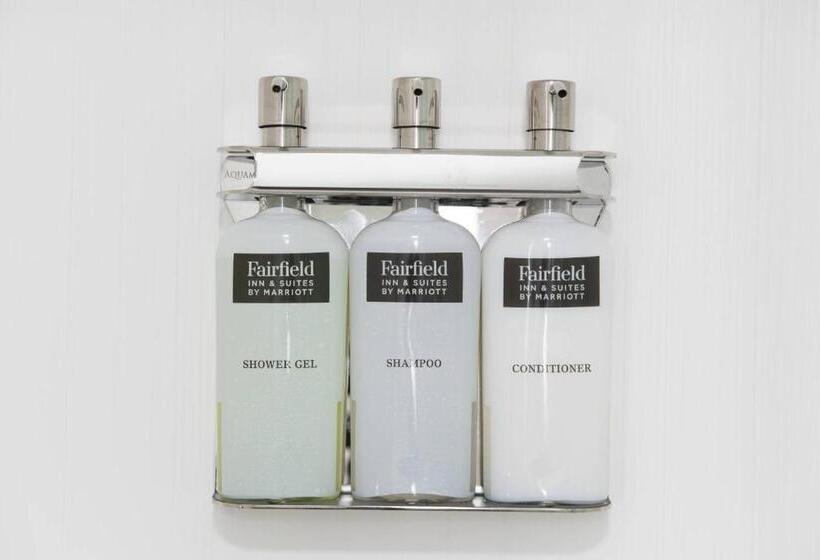 בית מלון כפרי Fairfield Inn & Suites By Marriott Boston Logan Airport/chelsea