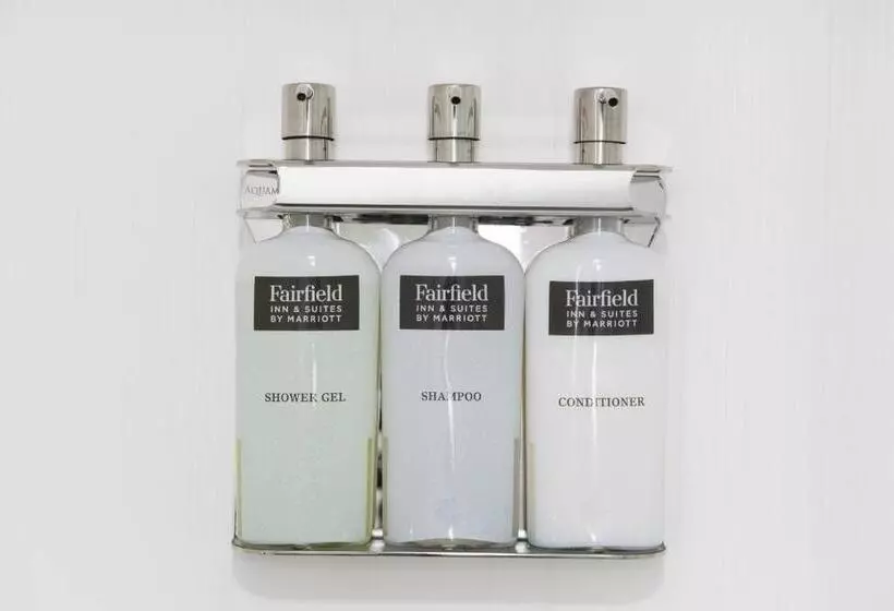 ホテル Fairfield Inn & Suites By Marriott Boston Logan Airport/chelsea