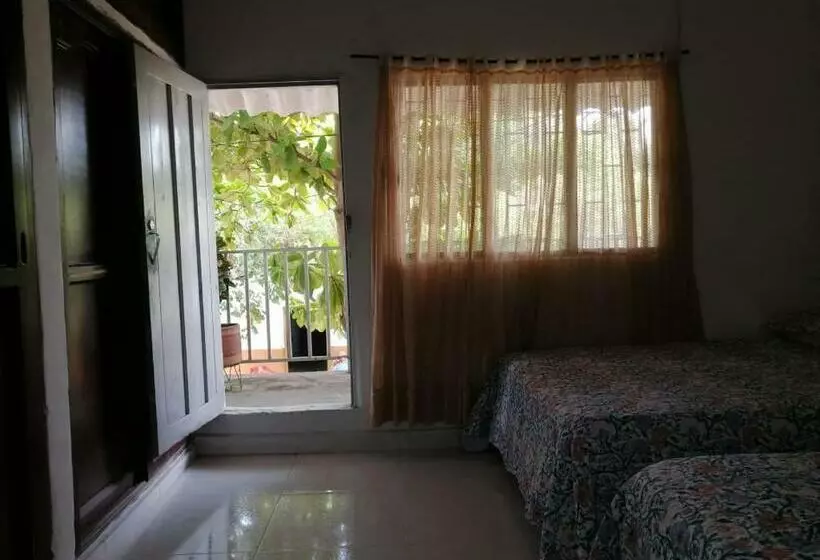 Apartaestudio Dacami