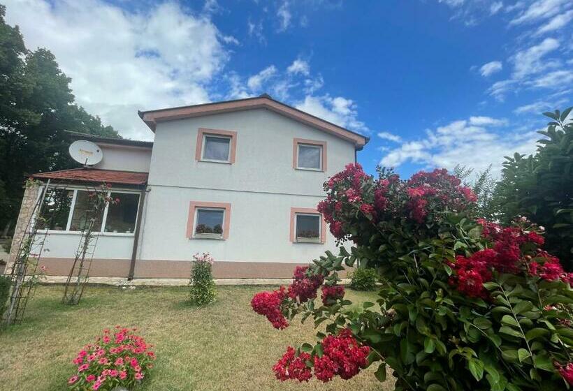 تختخواب و صبحانه Pansion Stojić