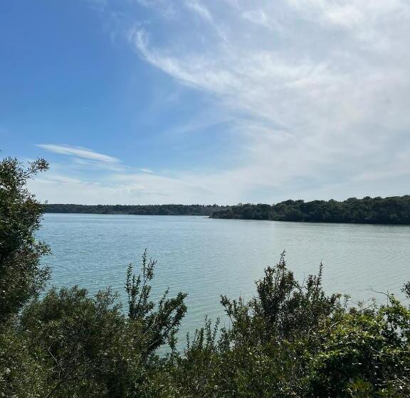 ベッドアンドブレックファースト Perla D Oriente   Affittacamere