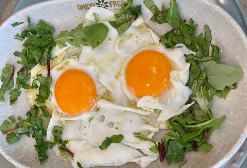 Design  Und Kunsthotel München