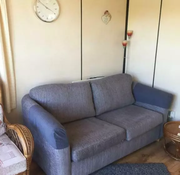 Bazanmoes Shed No: 49