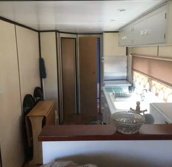 Bazanmoes Shed No: 49
