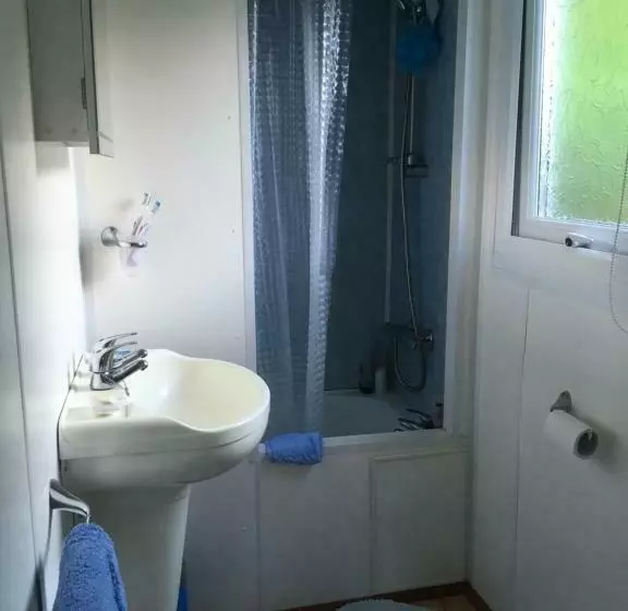 Bazanmoes Shed No: 49