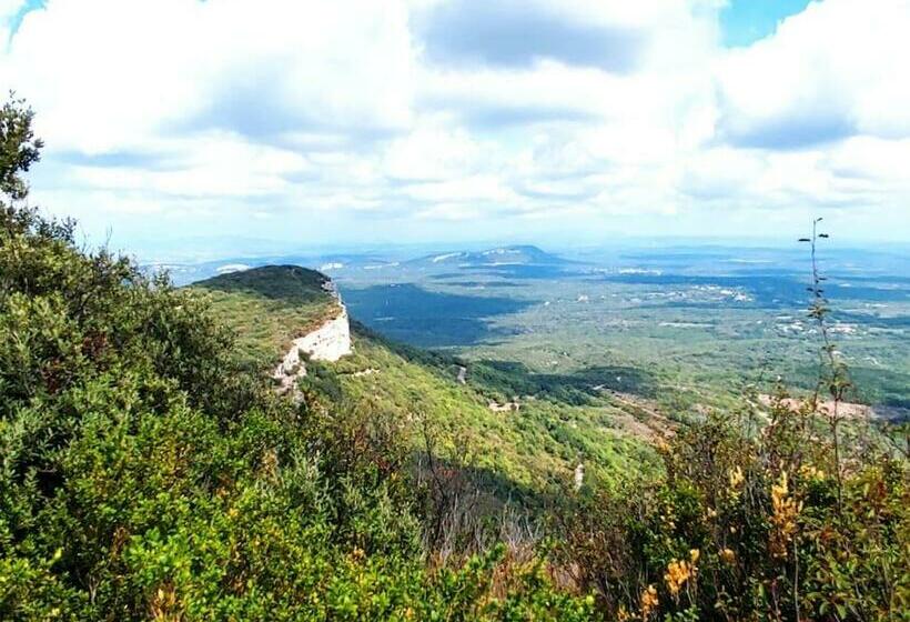 住宿加早餐  La Dourmide