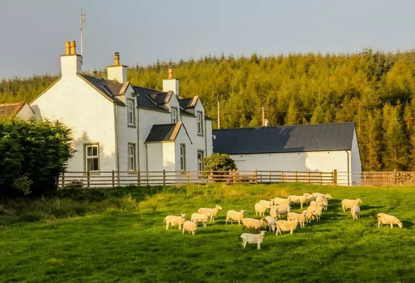 Diamonds Laggan