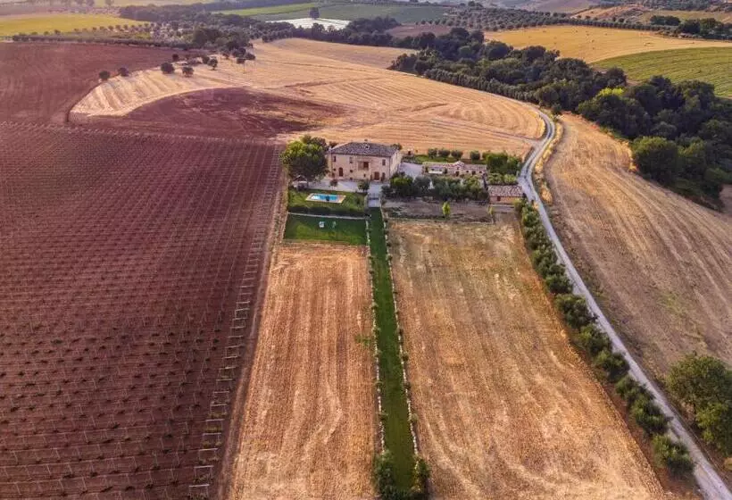 ベッドアンドブレックファースト Bb Casale La Selva Mosciano