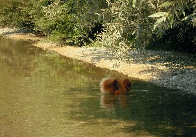 Pension Ferienwohnung Pirhofer