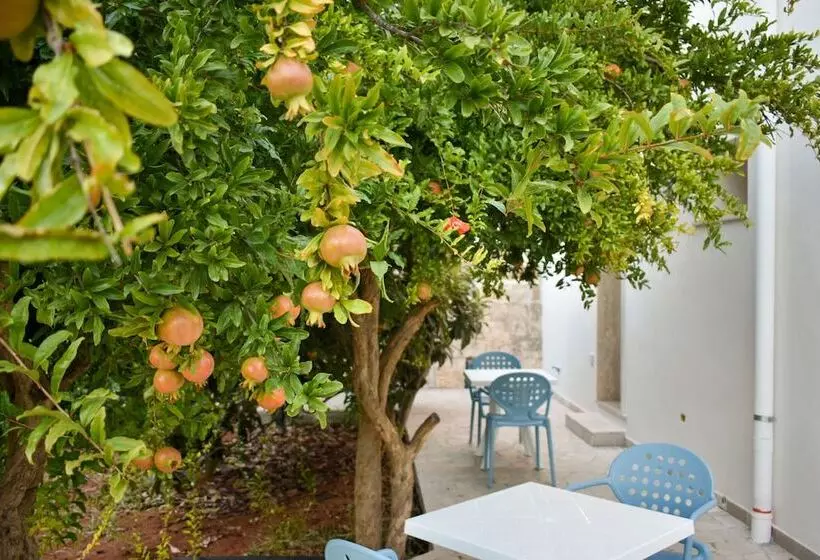 Ammarèa B&b