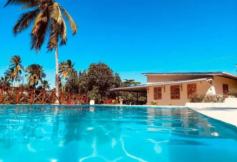 Hotelli Dive Planet Mafia Island