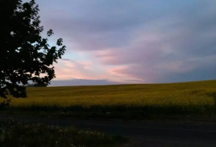 Bed and Breakfast Landhotel Zum Kranich