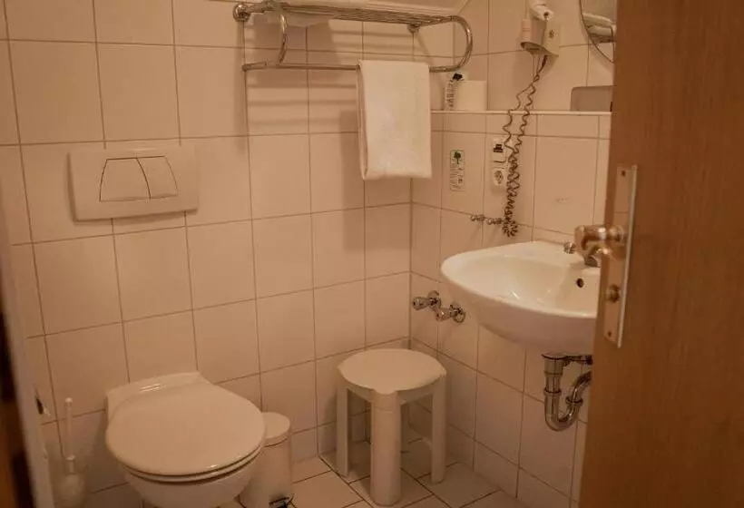 ホテル & Restaurant Am Alten Rhin