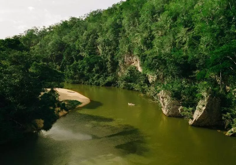 酒店 Sweet Songs Jungle Lodge, A Muy’ono Resort