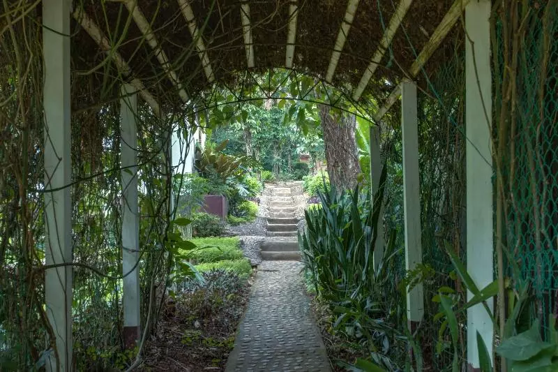 酒店 Sweet Songs Jungle Lodge, A Muy’ono Resort