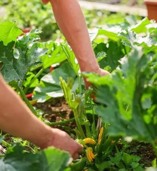 Seepark Hotel Am Wandlitzsee