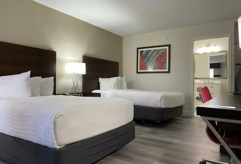 Remodeled, Huge Pool, Tiki Bar & Grill, Quiet Room