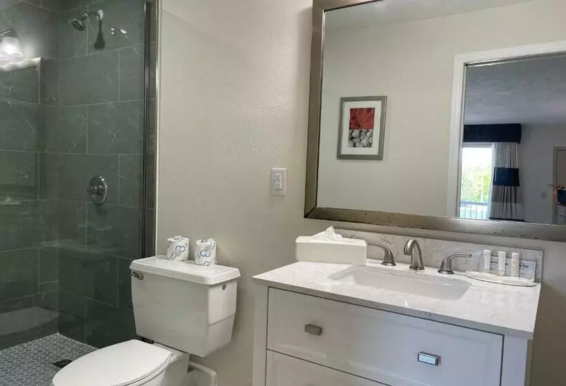 Remodeled, Huge Pool, Tiki Bar & Grill, Quiet Room