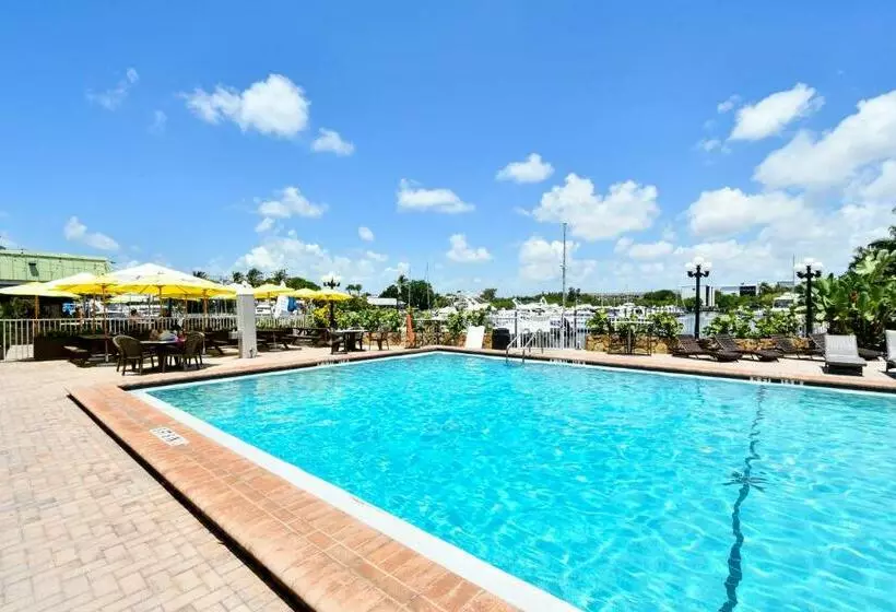 Remodeled, Huge Pool, Tiki Bar & Grill, Quiet Room