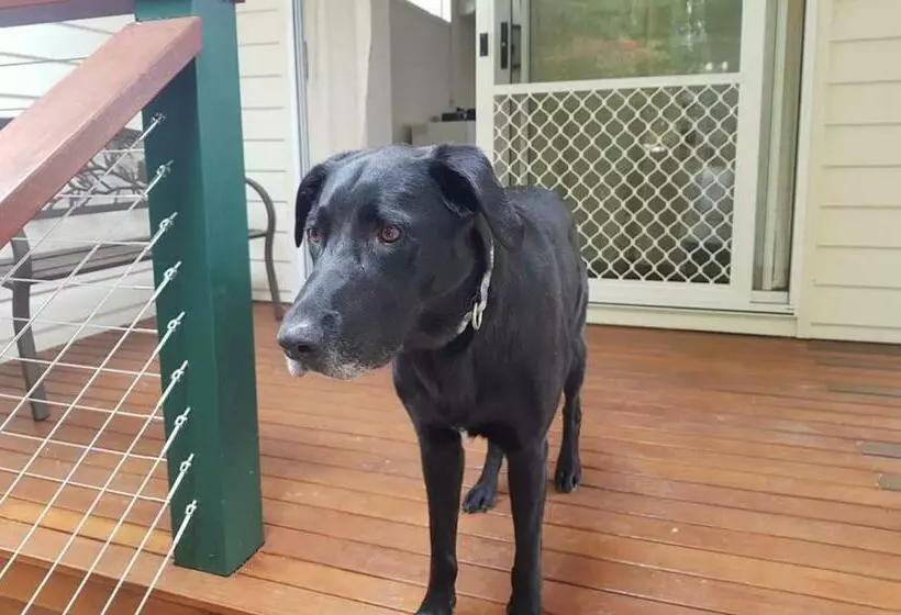 Majatalo Mullumbimby Studio