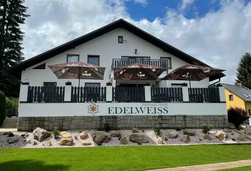 Wellness Hotel Edelweiss