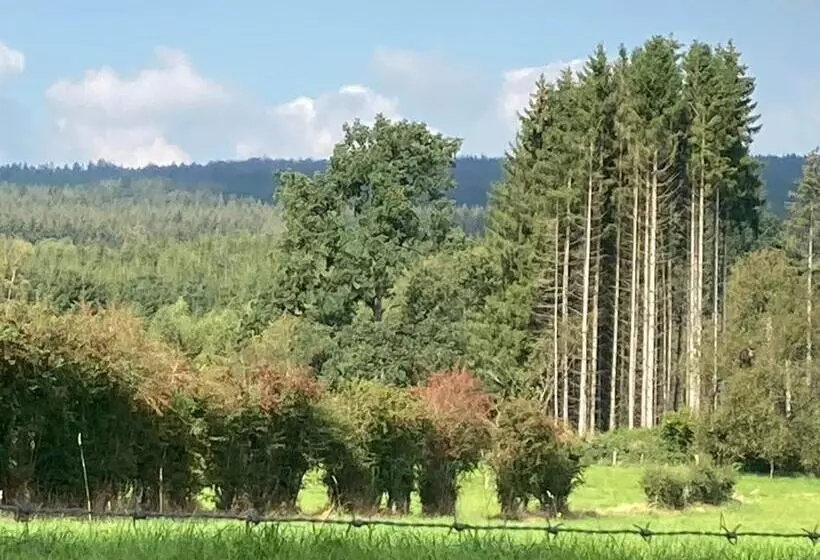 ベッドアンドブレックファースト Sleep Inn Bed&breakfast