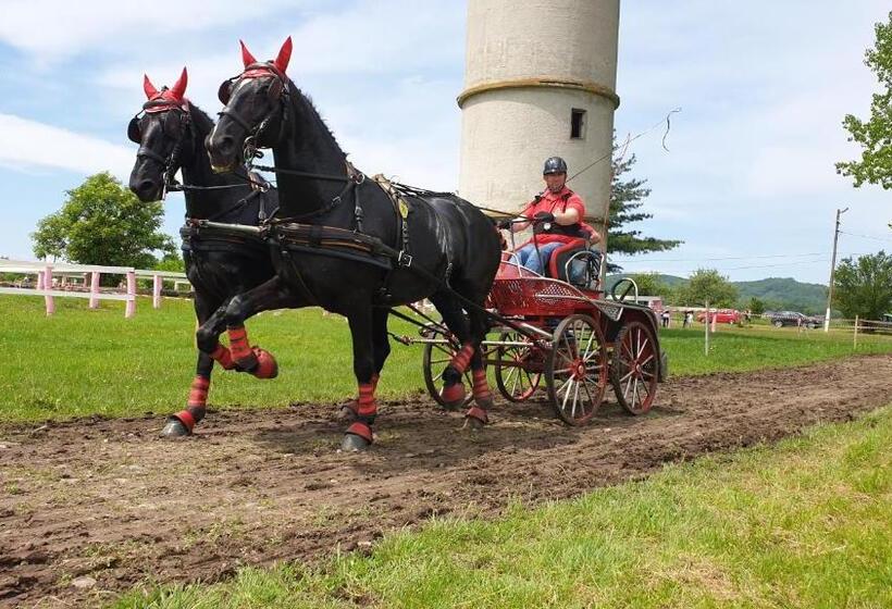 هتل Pensiune Agroturistica La Nasu